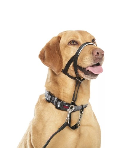 Halti Kopfhalsband, Zugfreies Training, stoppt freundliches Ziehen von Hunden, Größe 3, schwarz