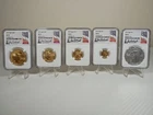 2019 gold & silver eagle set $50, $25, $10, $5 $1 Complete MS70 NGC Don Everhart