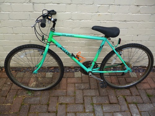 raleigh lizard mountain bike