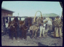 Pony Sledge Teams,Post House,Great Siberian Highway,Siberia,Russia,1895,Jackson