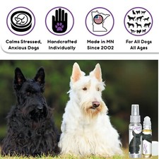 Scottish Terrier Relax Dog Aromatherapy  Calms Anxious, Scared, Stressed Dogs