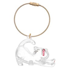 Transparent Pet Hair Memorial Capsule Keychain Cat Hair Storage Box Charm