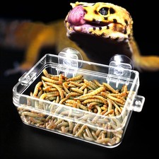 Reptile Feeder Bowl Anti-Escape Reptile Bowl Feeding Drinking Dish For Lizard