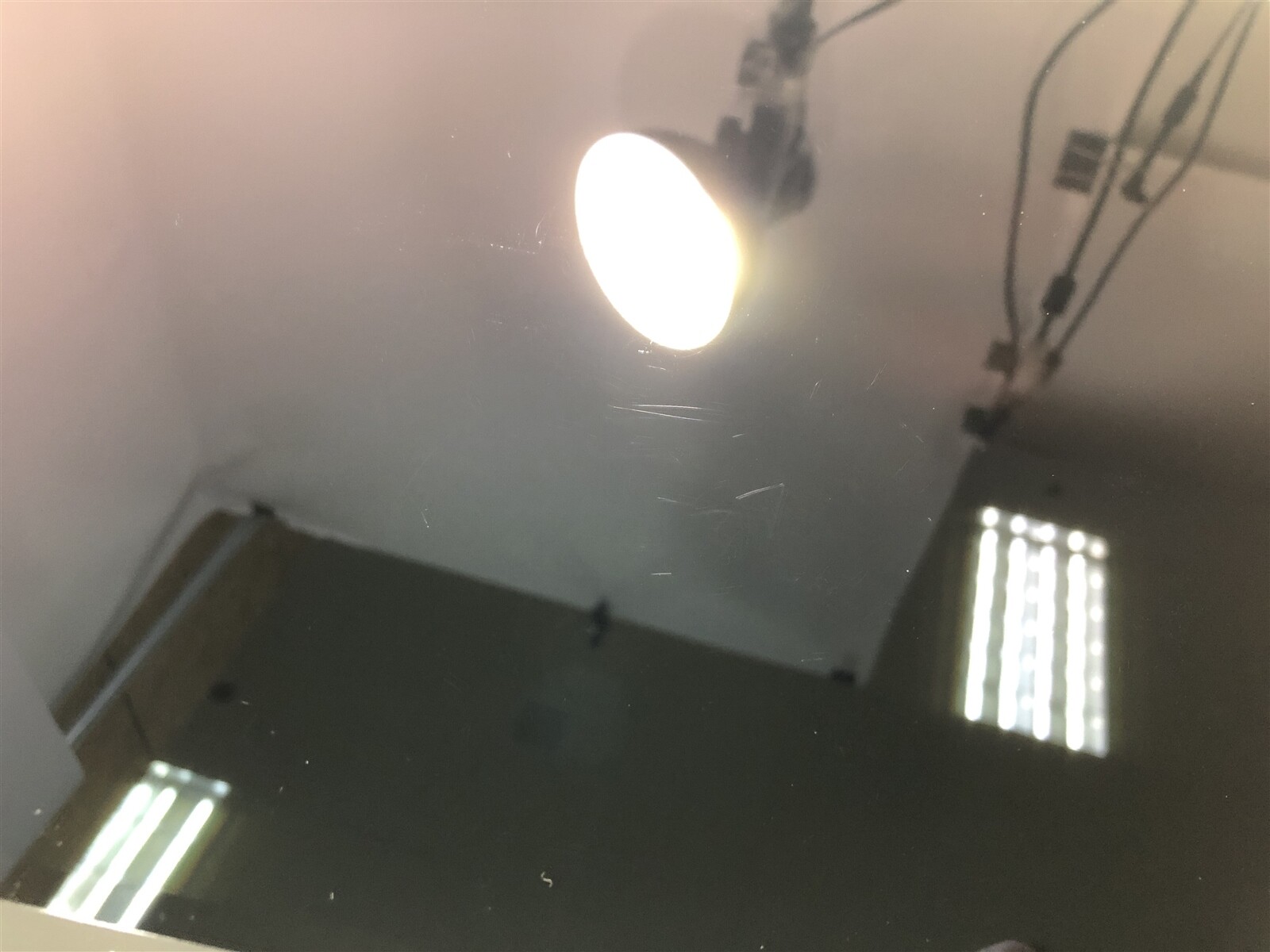 Picture 6 of 21