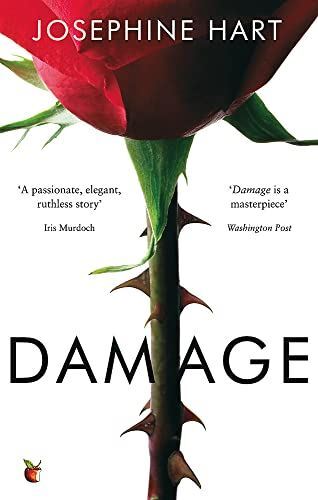 Damage: INSPIRATION FOR THE NETFLIX SERIES OBSESSION