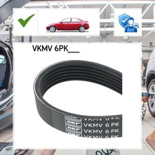 Keilrippenriemen Skf f�r BMW 5 E39 520 i