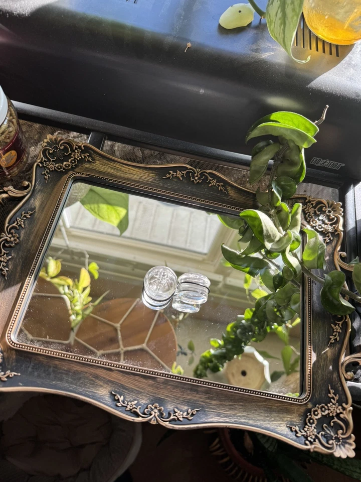 "Tapones araña de vidrio de resistencia industrial tapones de Halloween tapones de temporada espeluznantes 1"" IS" Foto 4 de 4