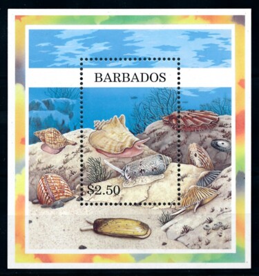 [99636] Barbados 1997 Marine life sea shells Souvenir Sheet MNH | eBay