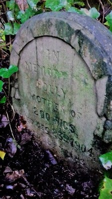 Foto 6x4 Grab von Polly - Mutter von über 200 Schweinen Worsley\/SD7401 Polly c2017