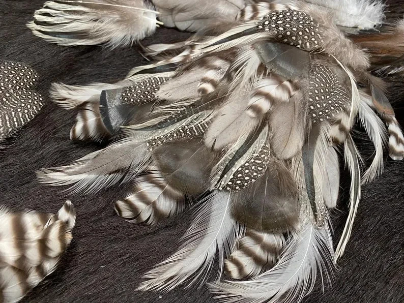 70er Federmix, 5-12cm, 7 Sorten, Bastelfedermix aus artgerechter Haltung, bunte - Bild 3 von 4