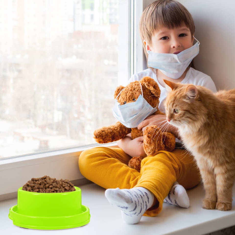 Outdoor Dog Bowl Dog Drinking Bowl Dog Slow Water Feeder Pet Feeding