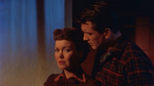 All That Heaven Allows (1955) Rock Hudson NEW DVD/ SAMEDAY FREE SHIP USA - Imagen 8 de 9