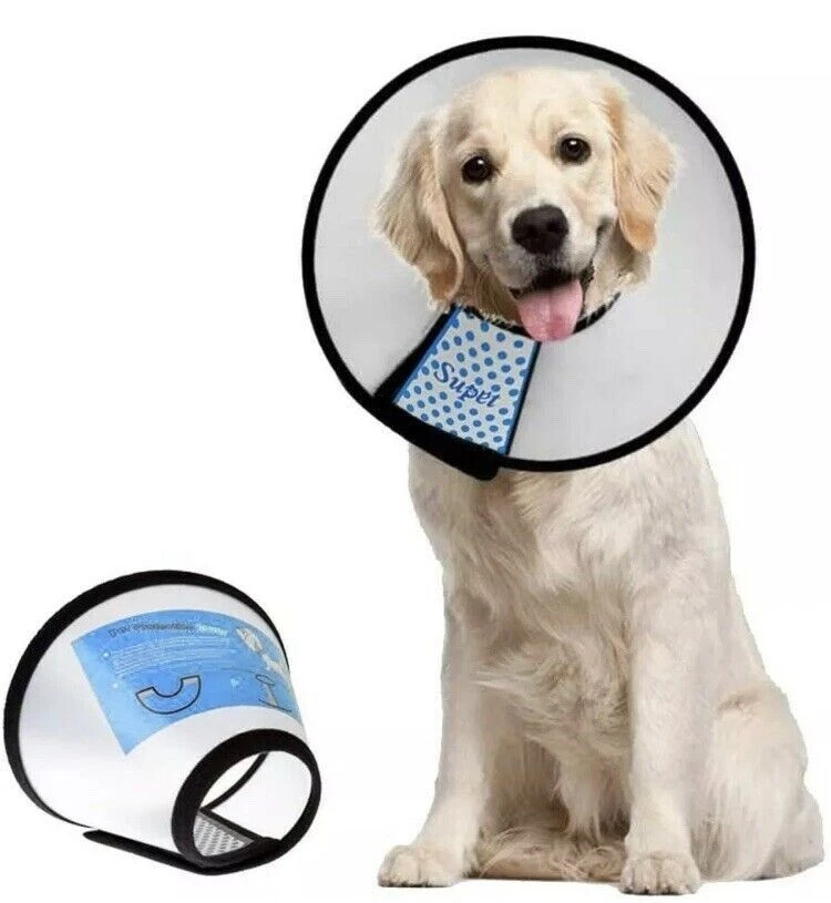 Medium top dog cone