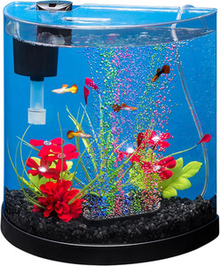 3 Petit réservoir de poisson Gallon, kit de démarrage Aquarium, avec filtre, Air Pompe, & Couleur C