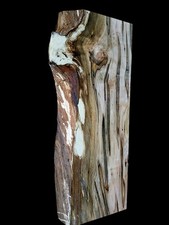 XL INSANELY FIGURED AMBROSIA MAPLE BURL Wood Slab Turning wood, EPOXY WOOD