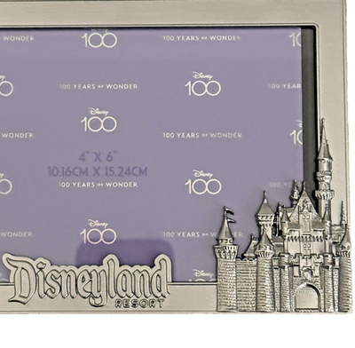 Disneyland Picture Frame 100th Anniversary TinkerBell Sleeping