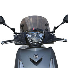 CUPOLINO FACO 29065 SYM HD 300 FUME' ASTE VERNICIATE