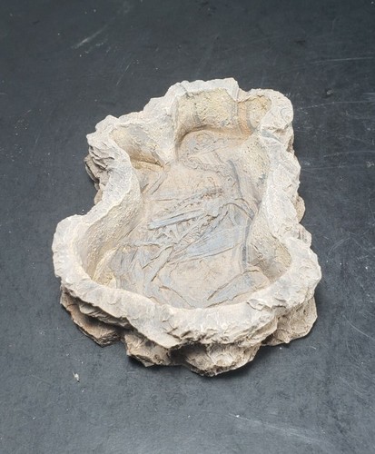 Lite Pink Kritterz Food / Water Bowl 3.5” x 3” Bird / Tiny Dino Skeleton - Picture 3 of 9