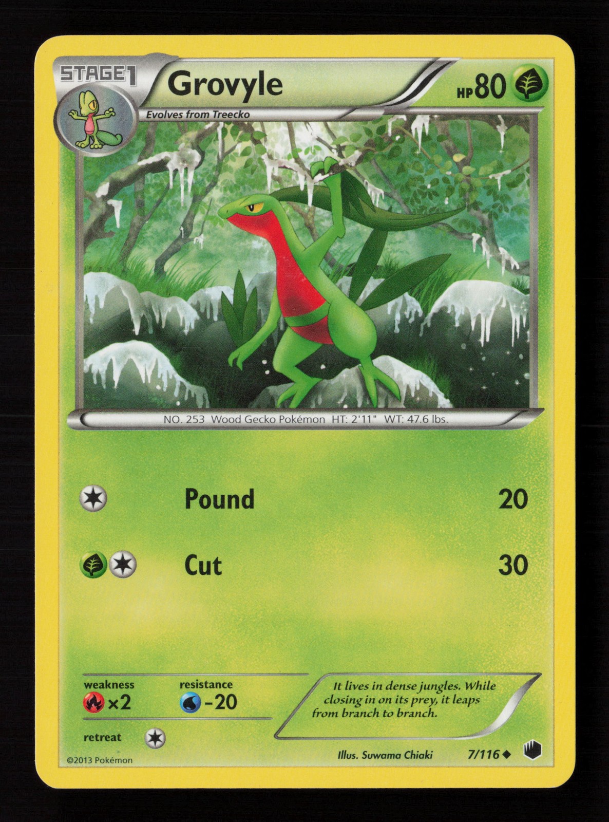 Grovyle 7/116 Plasma Freeze Pokemon Card -A6