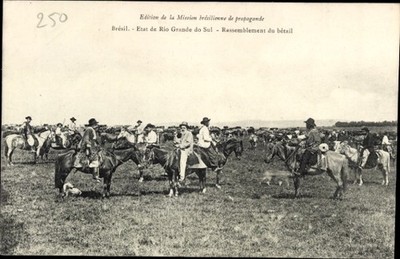 Postcard Rio Grande do Sul Brazil, cattle on pasture, riders,... - 4931806