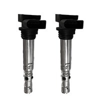 2X ZüNdspule FüR VW Polo 9N Fox Seat Ibiza III 6L1 Skoda Fabia I + II 6Y 1.2L