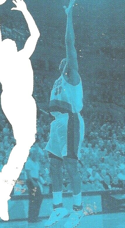 Imagen 8 de 8