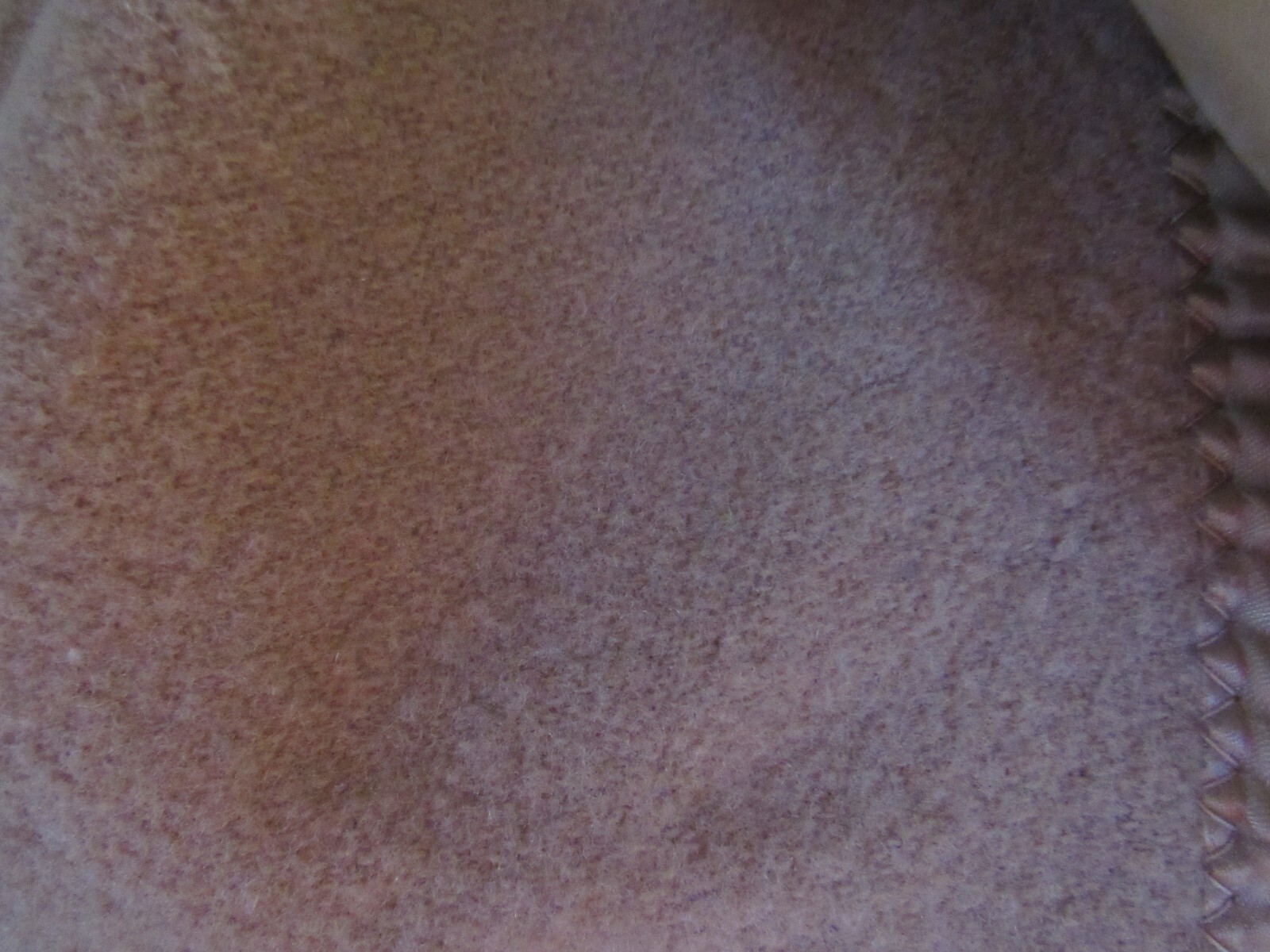 Picture 7 of 7