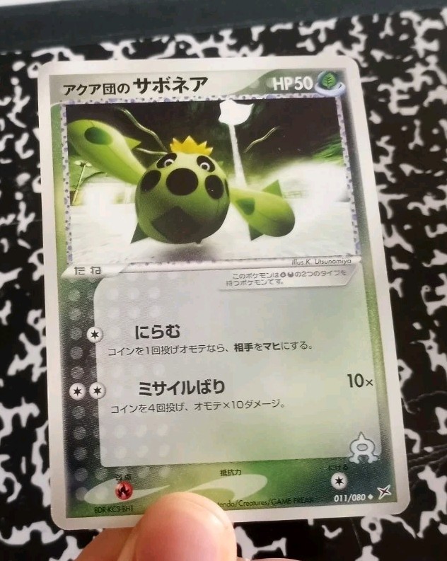 Team Aqua's Cacnea 011/080 1st Ed EX Magma vs Aqua Japanese Pokemon Card ~ NM