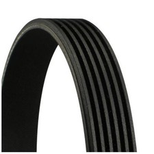 Keilrippenriemen für Fiat Panda 169 312 Panda-Panda Punto 188 EVO 199 24469151