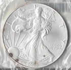 2001 American Eagle Uncirculated coin from Littleton Coins