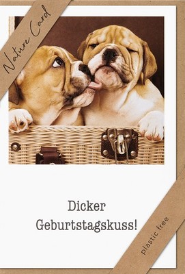 BSB-Nature-Cards-NC-2-64x3 - Sortiment - 64 Dekore à 3 Stück - UVP:   574,08