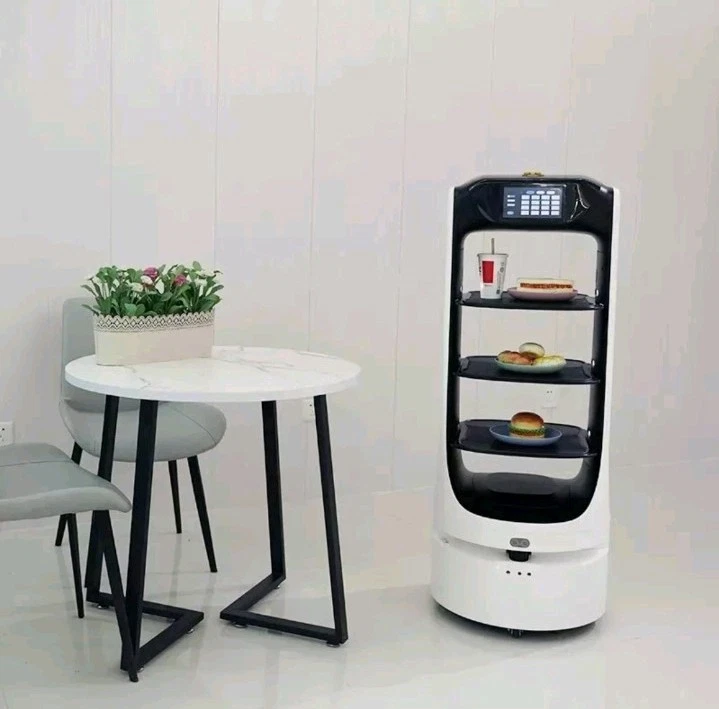 deligo reeman Food Serving Restaurant Robot - Delivery of Food - Delivery Robots - Image 3 of 4