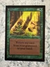 Regrowth - Collectors Edition Intl - NM - MTG - Magic: The Gathering