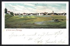 Planegg, Totalansicht, Ansichtskarte 1901 