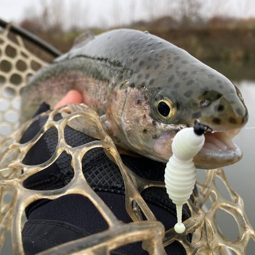Jig Heads Decoy Barbless Hook size 6 Tungsten Area Trout Fishing Fresh Lures - Picture 7 of 13