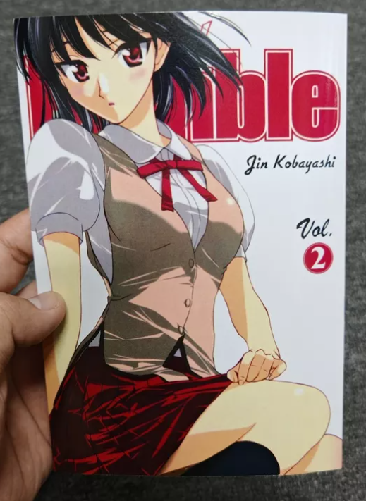 SCHOOL RUMBLE Manga Complete Full Set English (Volumes 1-22) New