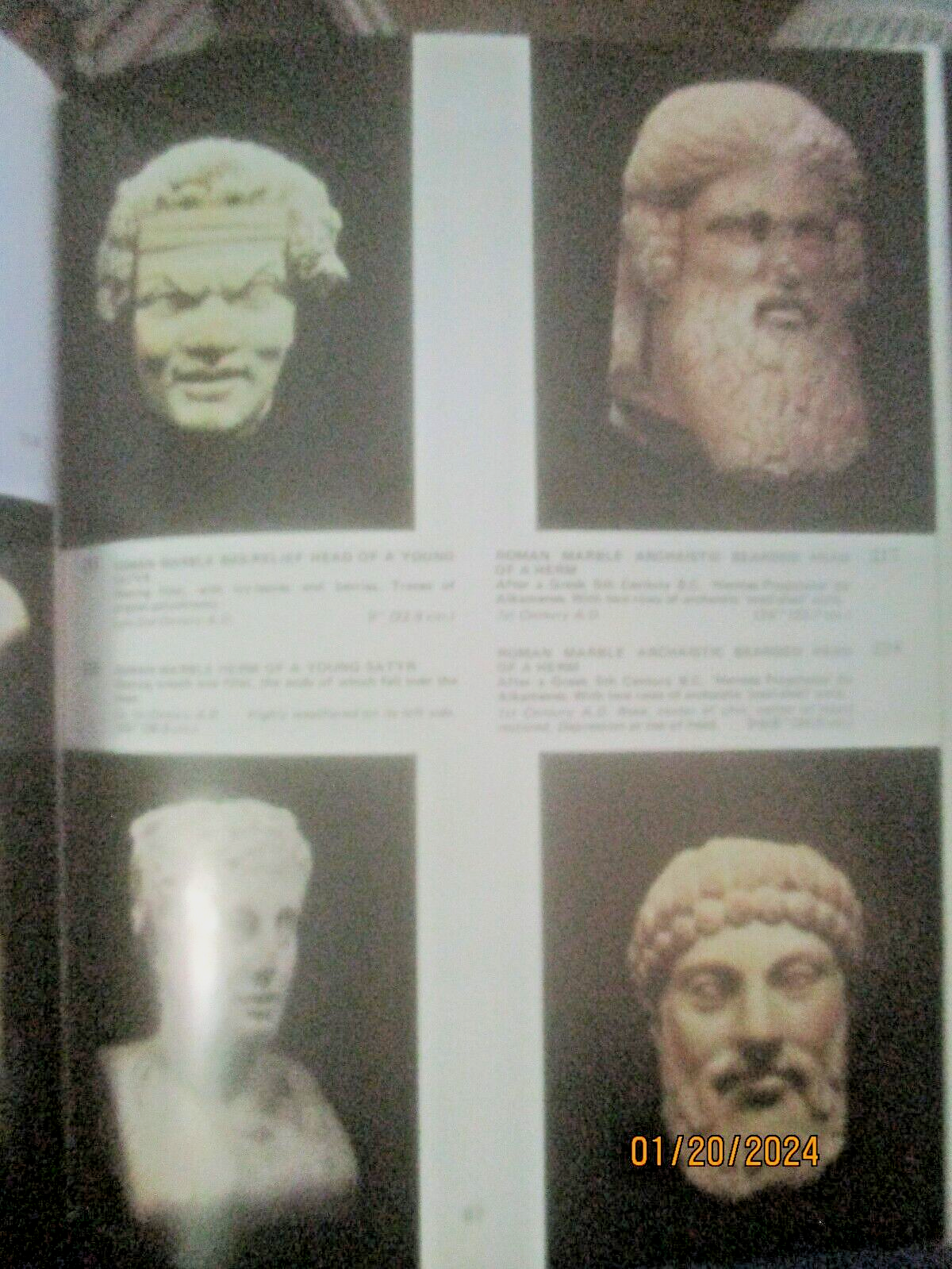 Picture 13 of 24