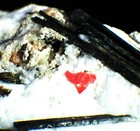 Bild 2 von 7