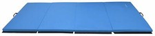 Gymnastics Mat Exercise Floor Gym Portable Blue Tumbling Yoga Home Thick Gym Pad