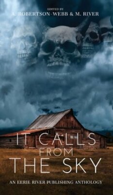It Calls From the Sky: Terrifying Tales from Above by Jay Sandlin: New