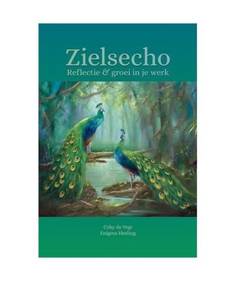 Zielsecho: reflectie & groei in je werk, Vegt, Coby de