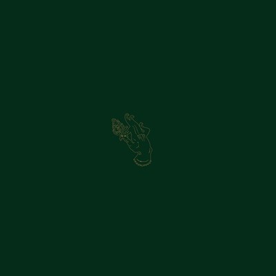 Burning Witch Towers (Vinyl) 12'' Album