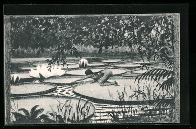 Artist postcard Fidus: Victoria Regia, beautiful girl on giant water lilies 