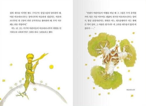The Little Prince 어린왕자 (Korean Translation/Reading material for Korean learners) - Picture 4 of 6