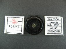  on The Hot Collector