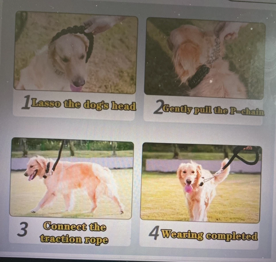 Collar gargantilla para perro mediano a grande 15,75 - 23 pulgadas negro Foto 2 de 2