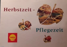 Egypt &World Collectibles Advertising Postcard S  Shell Oil & Petroleum  Co #2