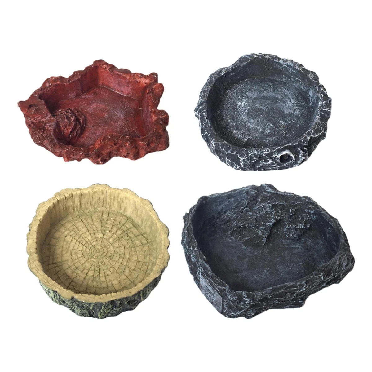 Lizard water dish cheap