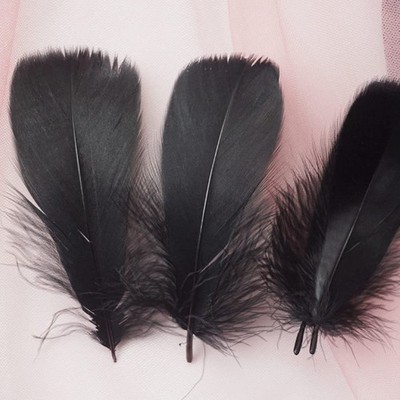 100Pcs Black Natural Goose Feathers, 3-5Inch Centerpieces Feahers Bulk Colorf...