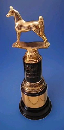1952 West Coast Golden Saddle Horse Futurity Trophy Champion Vintage Horse